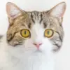 胡鑫迪头像