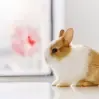王思程头像